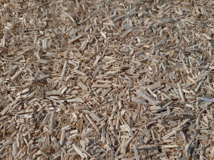 AUBIOSE Hanfeinstreu mit Eukalyptus für Pferde